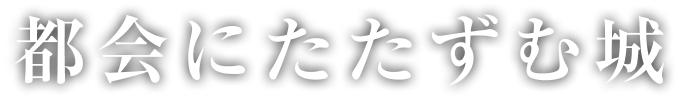 都会にたたずむ城